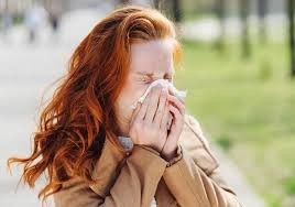 Hay Fever (Pollen Allergy)